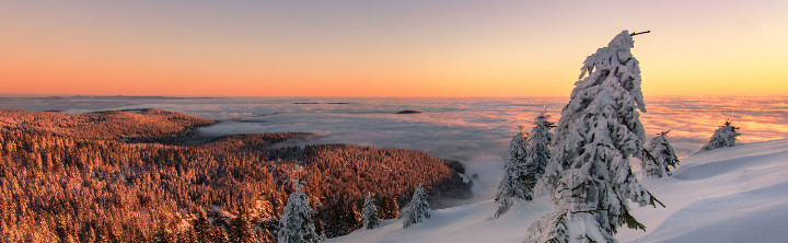 Kurzurlaub Schwarzwald