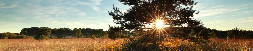 Last Minute Lüneburger Heide