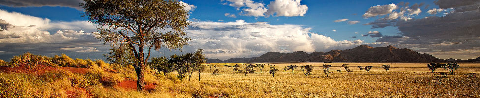 Namibia Reisen