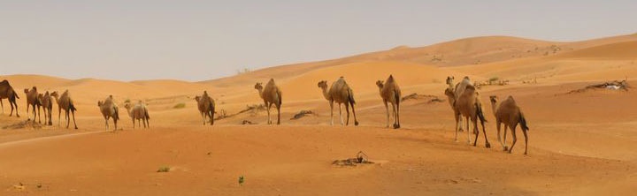 Sharjah Urlaub